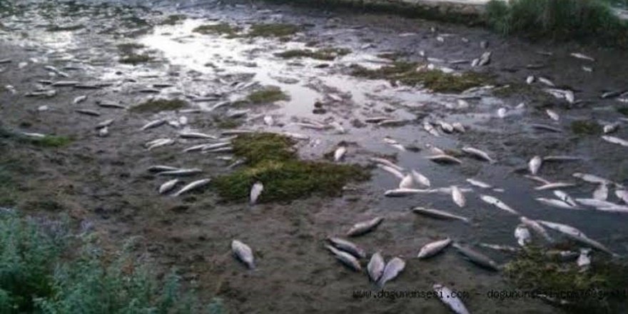 Diyarbakır'da bir kişi elektrikle balık tutmak isterken canından oldu