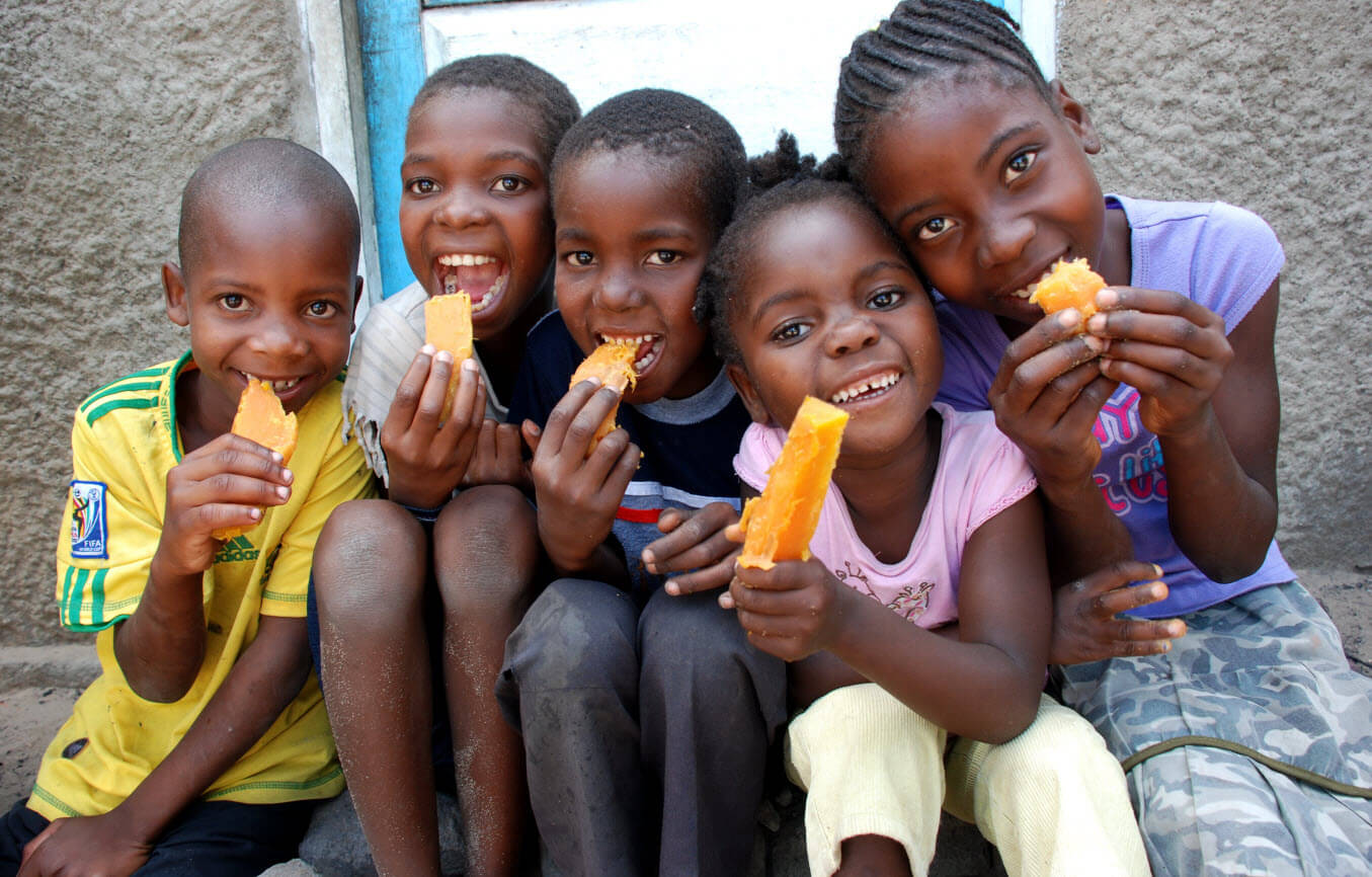 Talking Biotech: The story of a vitamin-infused sweet potato that helped cut Africa's infant mortality 25 percent | Genetic Literacy Project