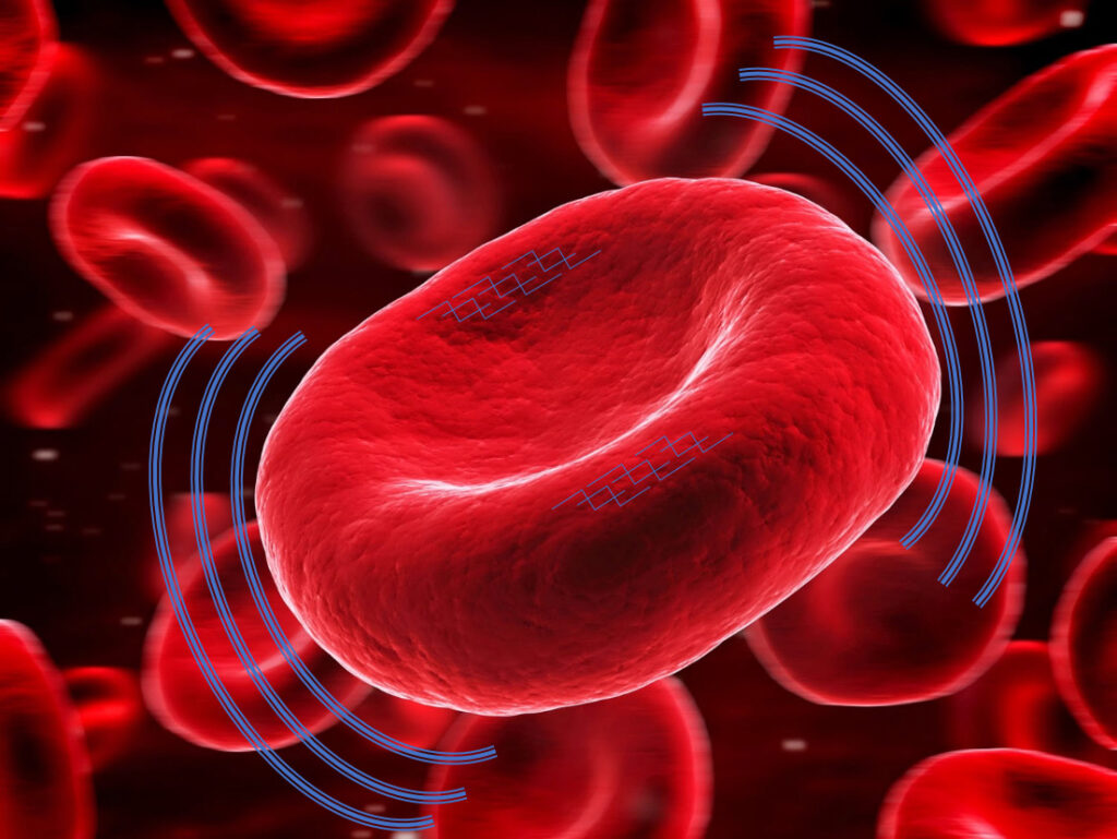 Canlı Su Nedir? 6 aktif alyuvarlar