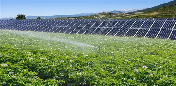 İklim Değişikliğini Sınırlamak İçin Güneş Enerjisi ve Tarımı Kullanmak, Kırsal Topluluklara Yardımcı Olmak 3